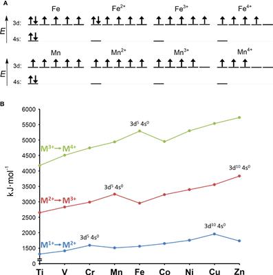 Why is manganese so valuable to bacterial pathogens?